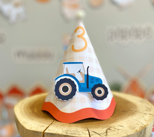 CHAPÉU DE FESTA FAZENDINHA